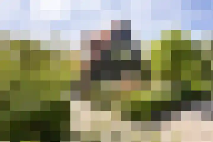 Vondellaan 16 Vlissingen thumbnail 41