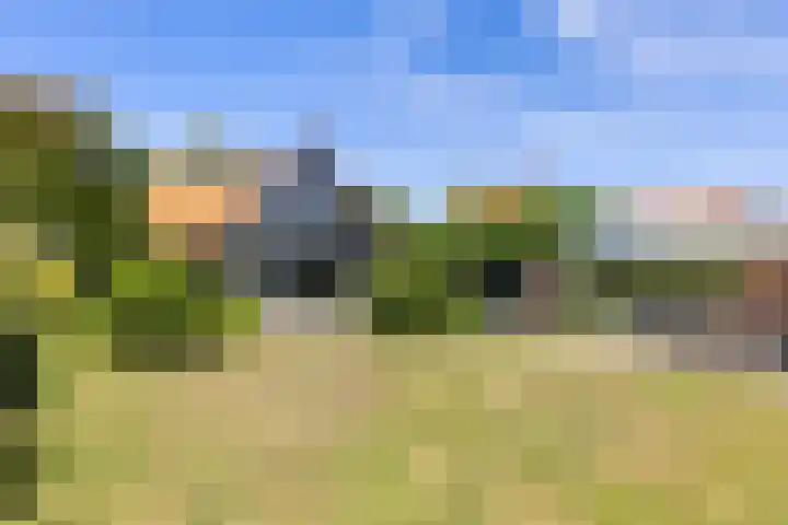 Vondellaan 16 Vlissingen thumbnail 5