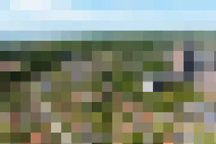 Vondellaan 16 Vlissingen thumbnail 6