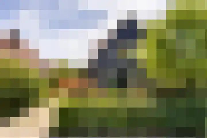 Vondellaan 16 Vlissingen thumbnail 7