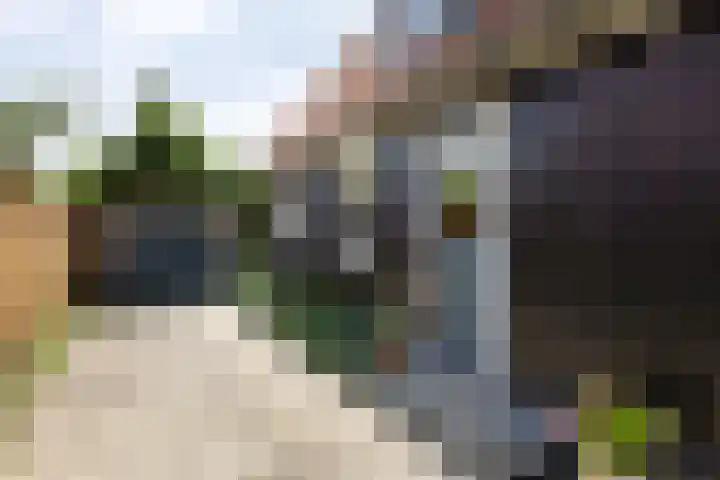 Vondellaan 16 Vlissingen thumbnail 8