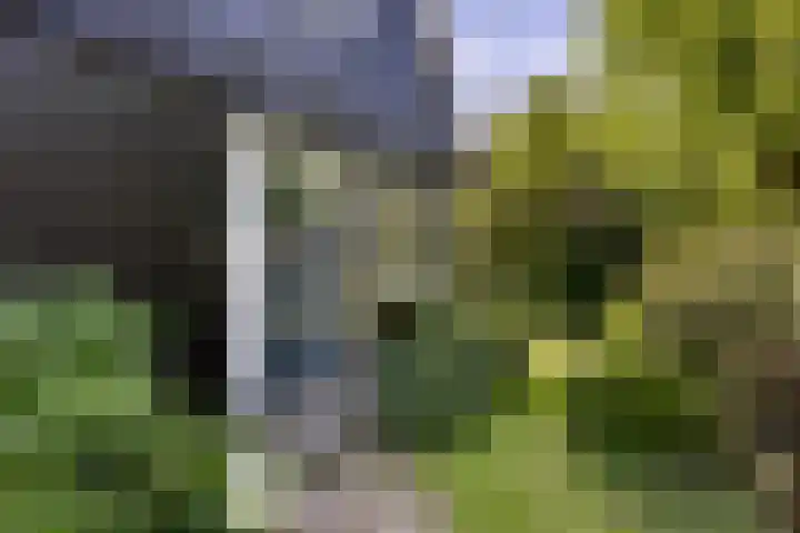 Vondellaan 16 Vlissingen thumbnail 9