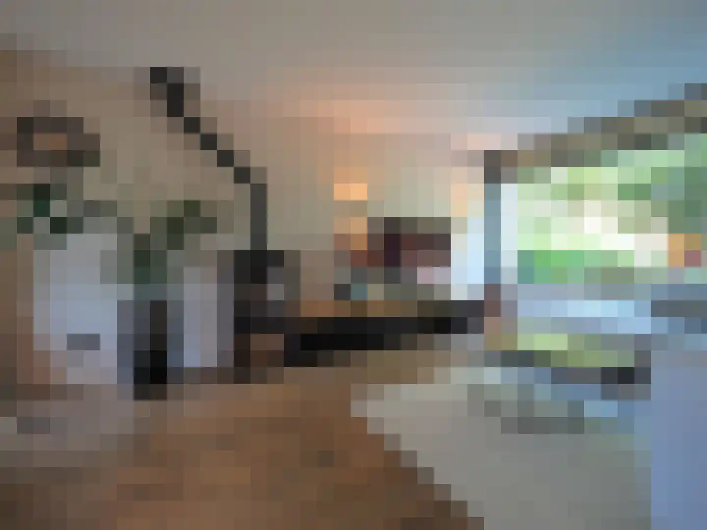 Vondellaan 162 Papendrecht thumbnail 18