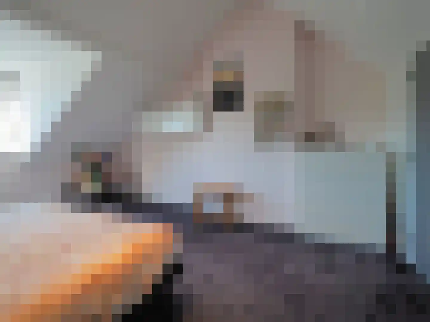 Vondellaan 162 Papendrecht thumbnail 53
