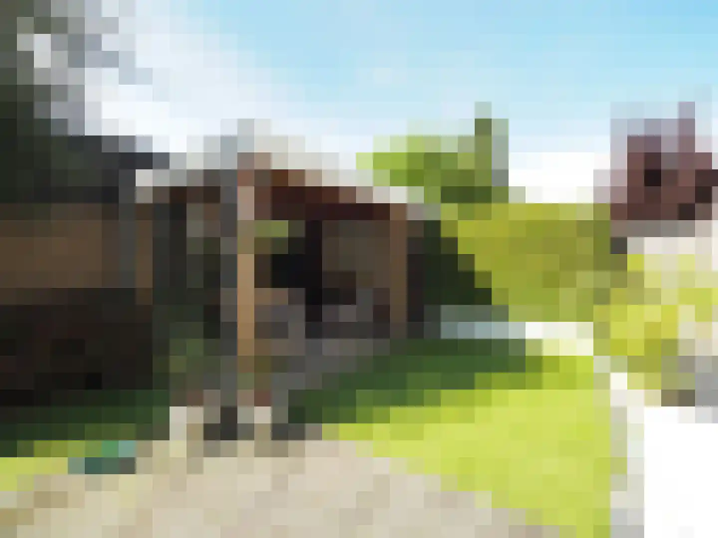 Vondellaan 162 Papendrecht thumbnail 61