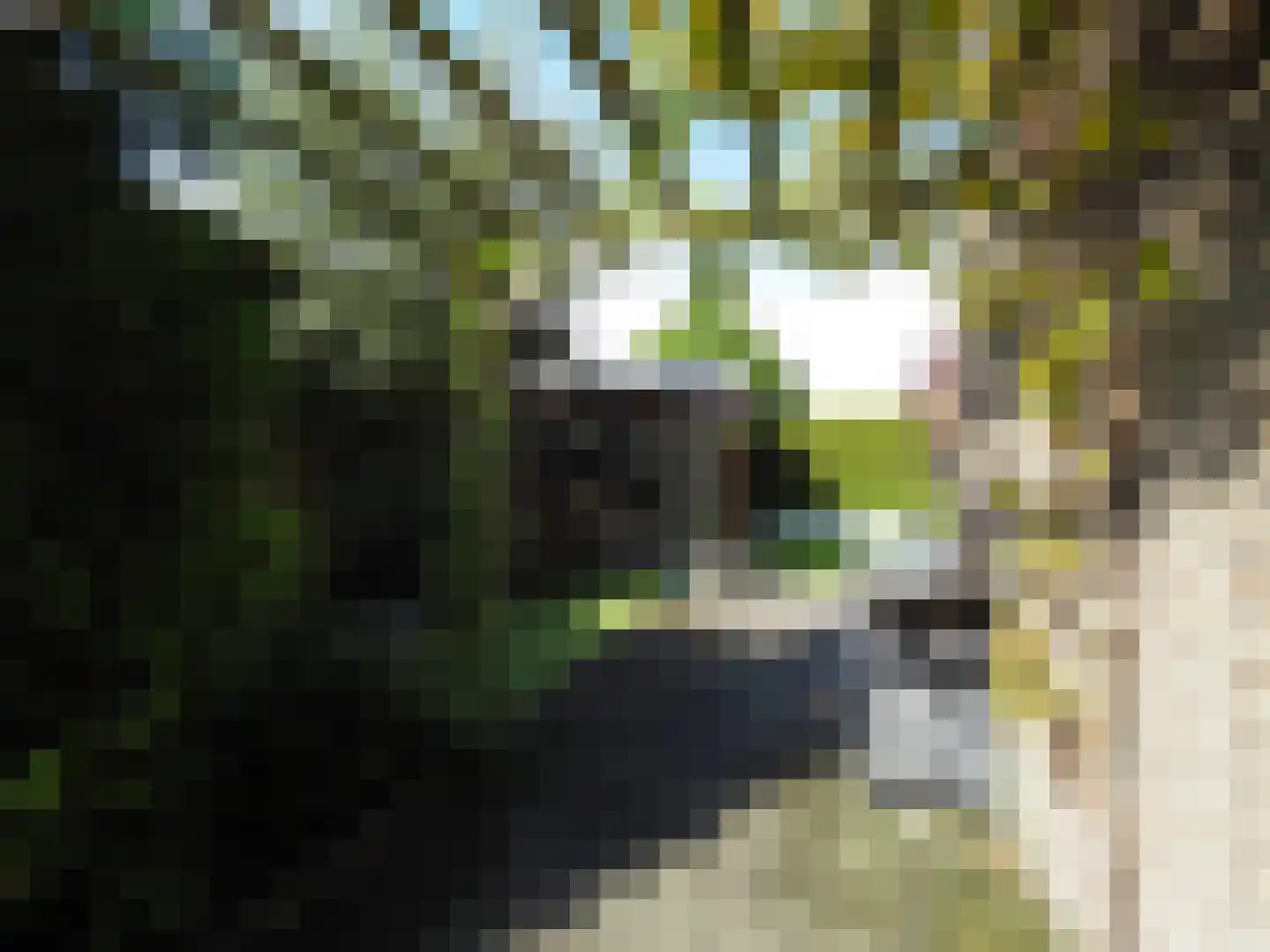 Vondellaan 162 Papendrecht thumbnail 67
