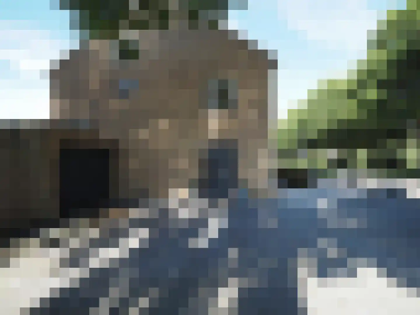 Vondellaan 162 Papendrecht thumbnail 9