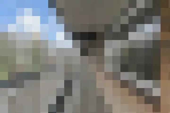 Vondellaan 165 Gemert thumbnail 10