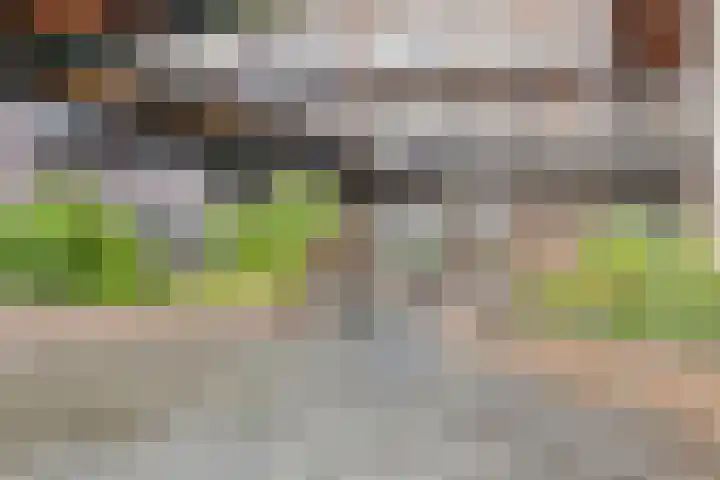 Vondellaan 165 Gemert thumbnail 11