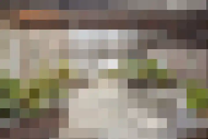 Vondellaan 165 Gemert thumbnail 12