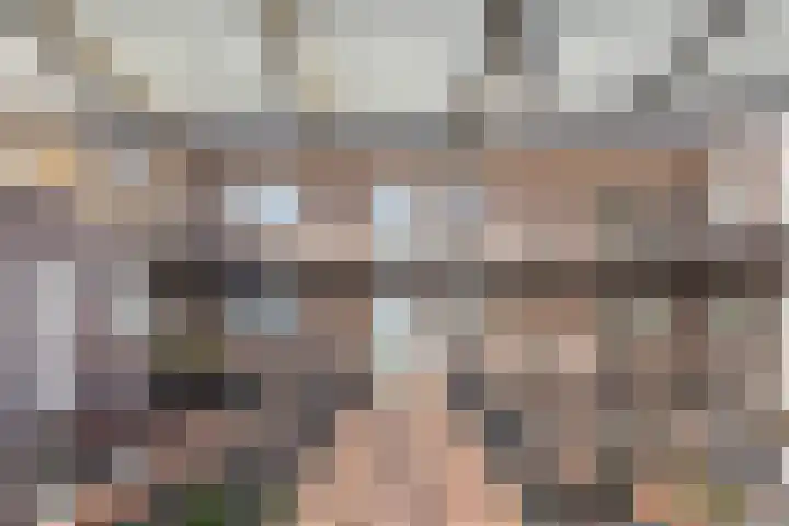 Vondellaan 165 Gemert thumbnail 13