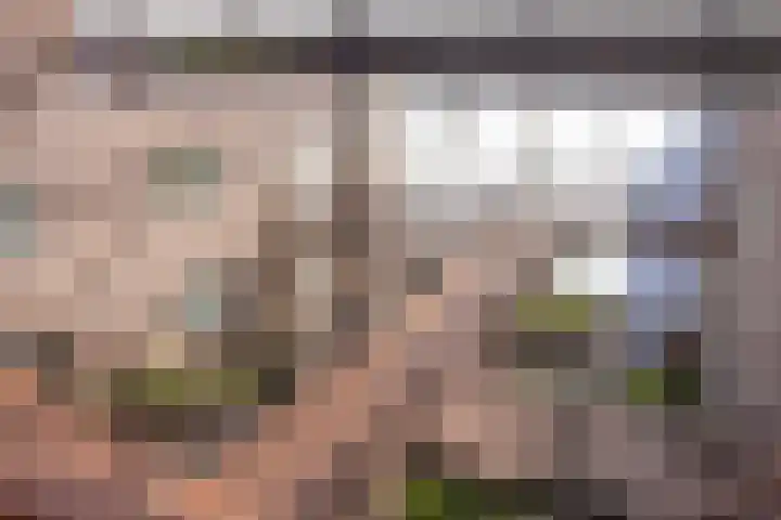 Vondellaan 165 Gemert thumbnail 14