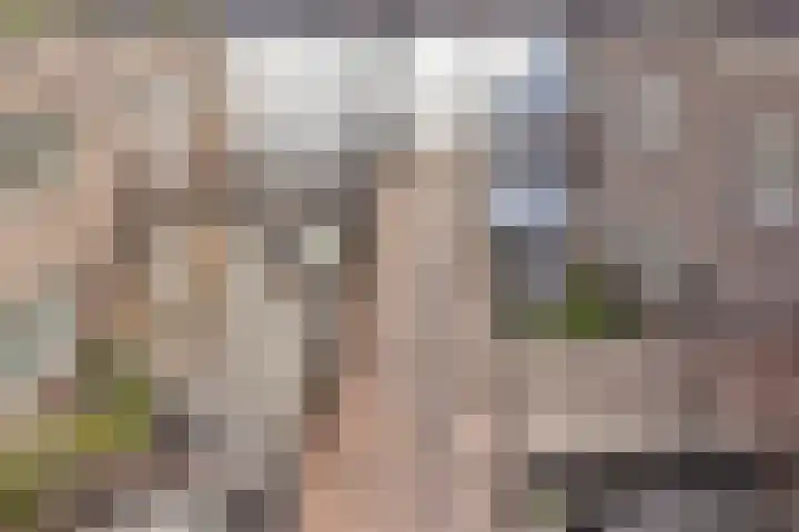 Vondellaan 165 Gemert thumbnail 15