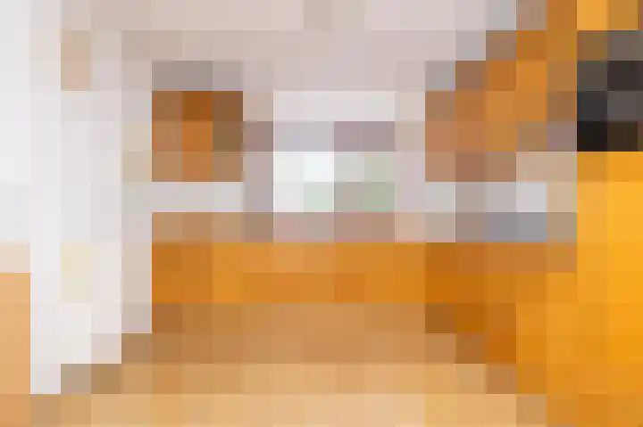 Vondellaan 165 Gemert thumbnail 22