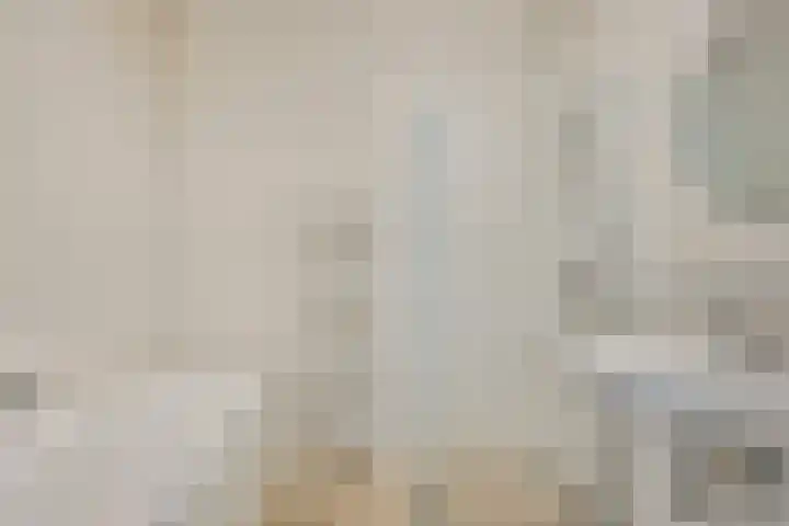 Vondellaan 165 Gemert thumbnail 31