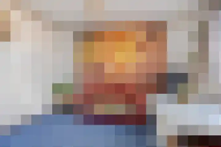 Vondellaan 165 Gemert thumbnail 36