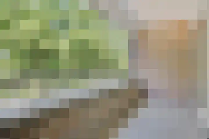Vondellaan 165 Gemert thumbnail 38