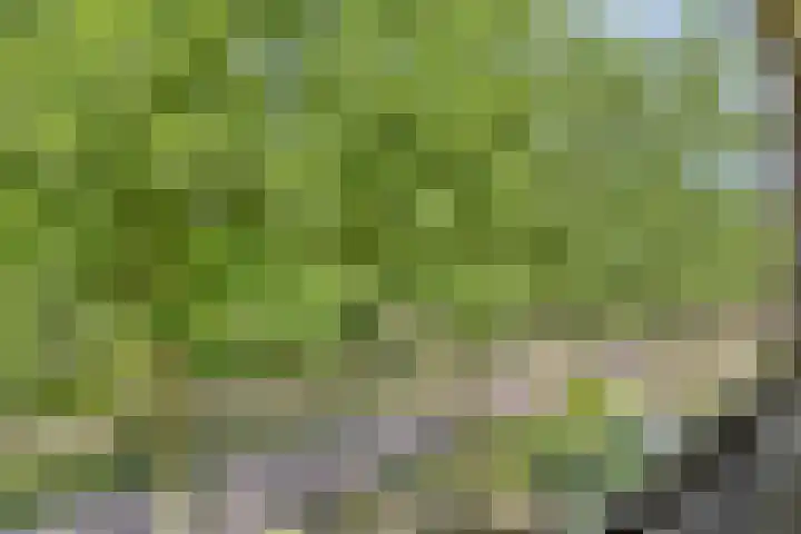 Vondellaan 165 Gemert thumbnail 41
