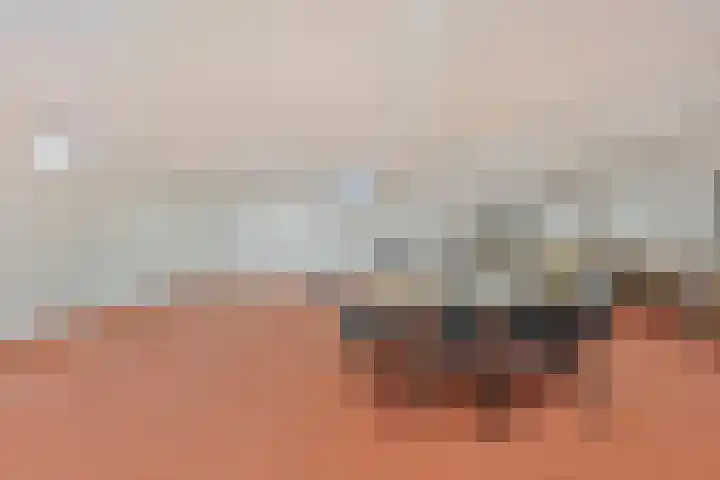 Vondellaan 165 Gemert thumbnail 43