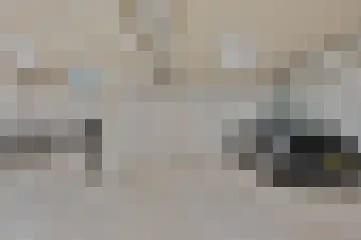Vondellaan 165 Gemert thumbnail 45