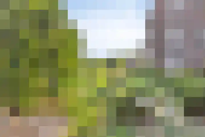 Vondellaan 165 Gemert thumbnail 49