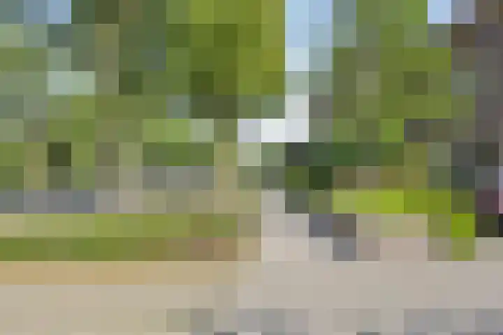 Vondellaan 165 Gemert thumbnail 5