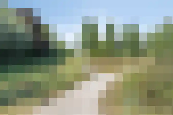 Vondellaan 165 Gemert thumbnail 50