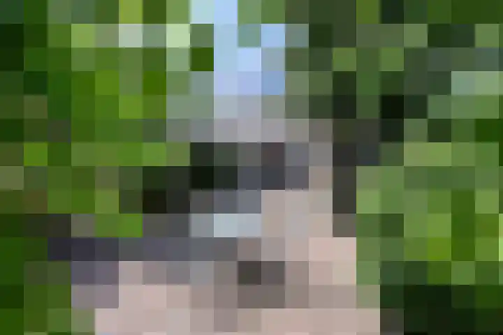 Vondellaan 165 Gemert thumbnail 6
