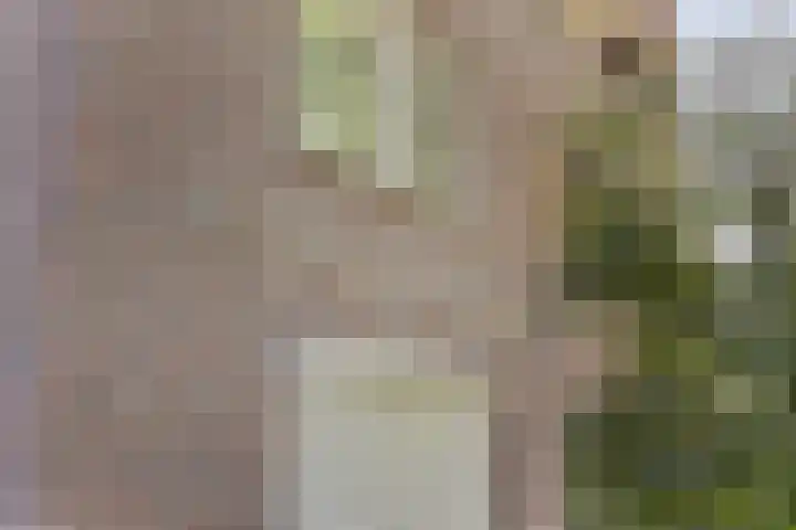 Vondellaan 165 Gemert thumbnail 6