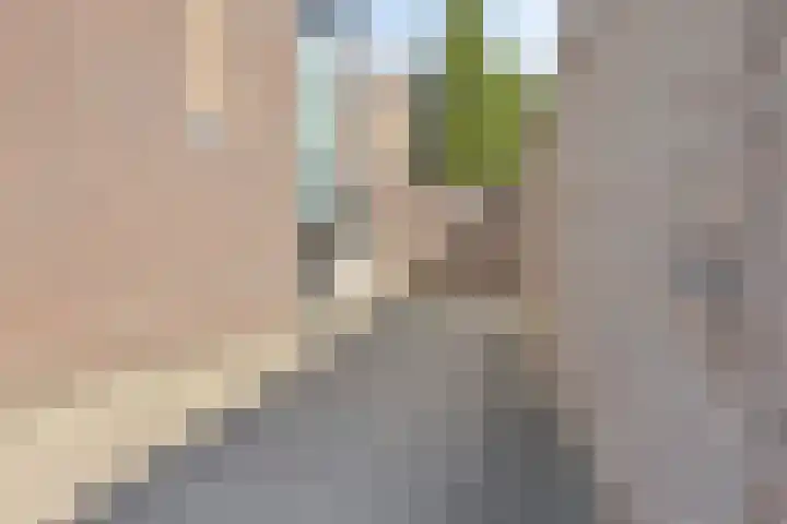 Vondellaan 165 Gemert thumbnail 7