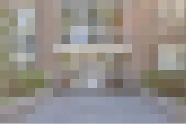 Vondellaan 165 Gemert thumbnail 8