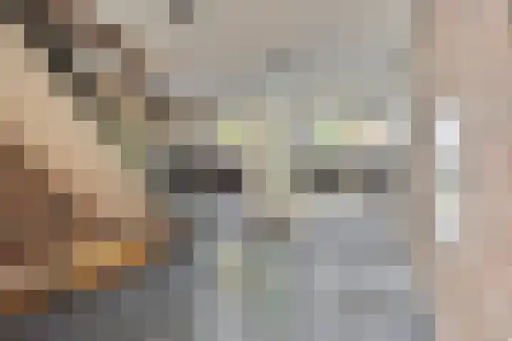 Vondellaan 165 Gemert thumbnail 9