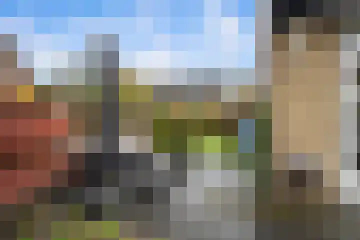 Vondellaan 17 Capelle aan den IJssel thumbnail 18