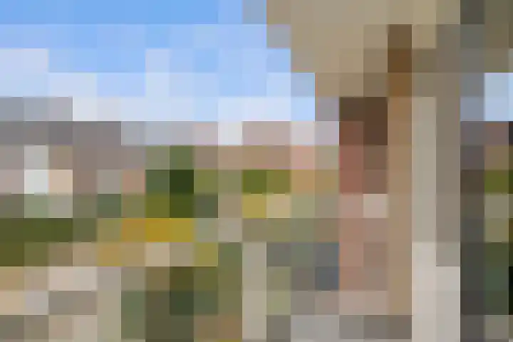 Vondellaan 17 Capelle aan den IJssel thumbnail 25