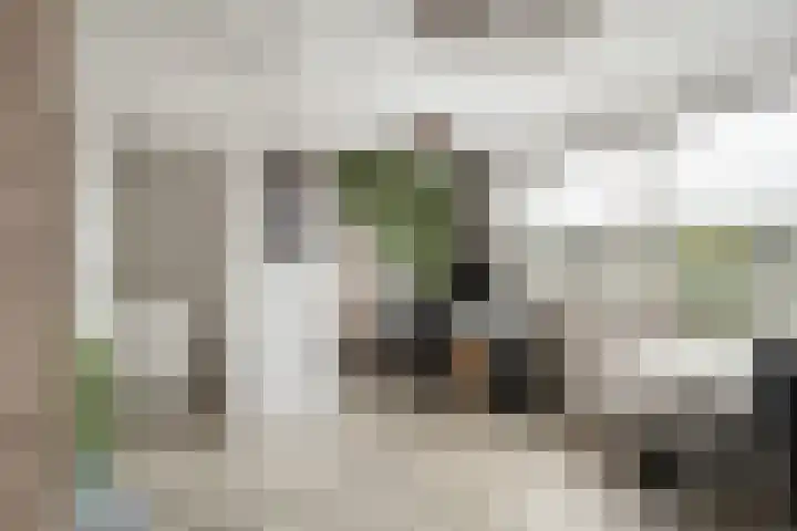 Vondellaan 17 Capelle aan den IJssel thumbnail 33