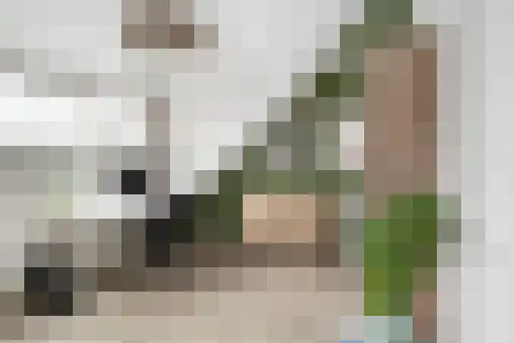 Vondellaan 17 Capelle aan den IJssel thumbnail 34