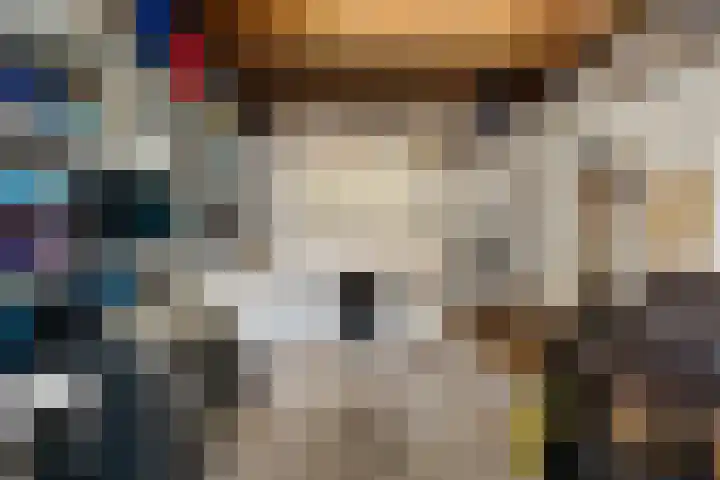 Vondellaan 17 Capelle aan den IJssel thumbnail 41