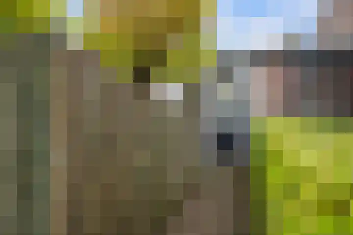 Vondellaan 17 Capelle aan den IJssel thumbnail 42