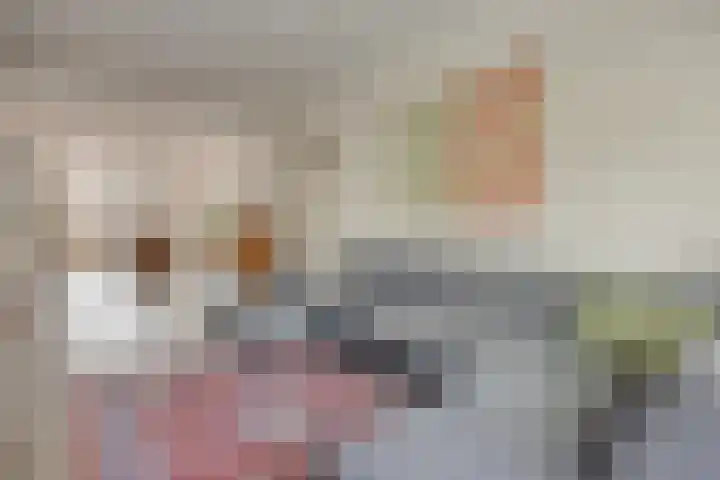 Vondellaan 17 Leiden thumbnail 12