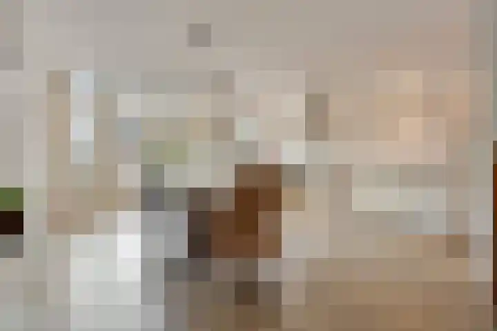 Vondellaan 17 Leiden thumbnail 13