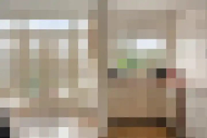 Vondellaan 17 Leiden thumbnail 18