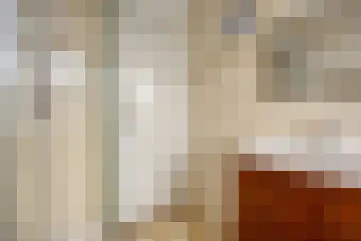 Vondellaan 17 Leiden thumbnail 28