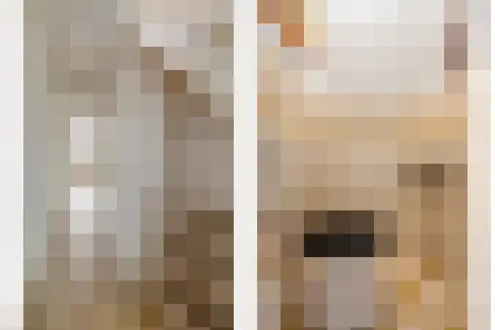 Vondellaan 17 Leiden thumbnail 8