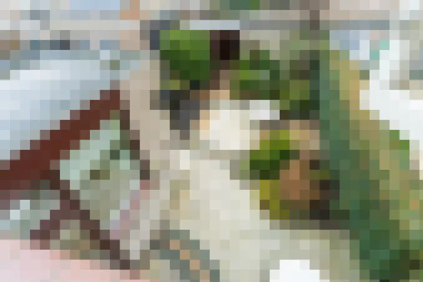 Vondellaan 17 Waddinxveen thumbnail 37