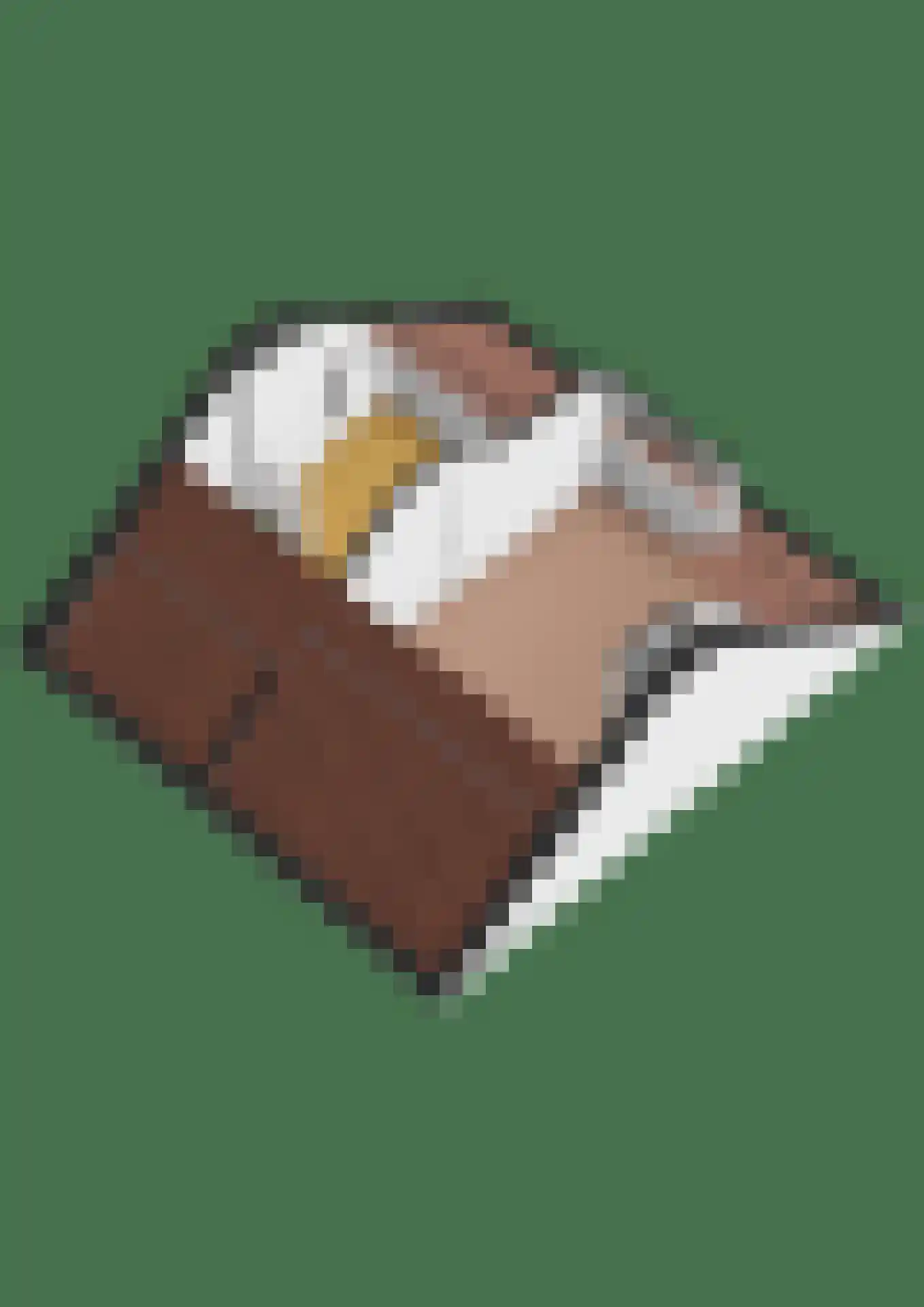 Vondellaan 17 Waddinxveen thumbnail 49