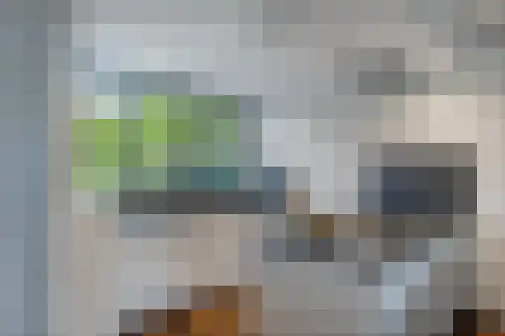 Vondellaan 18 Capelle aan den IJssel thumbnail 10