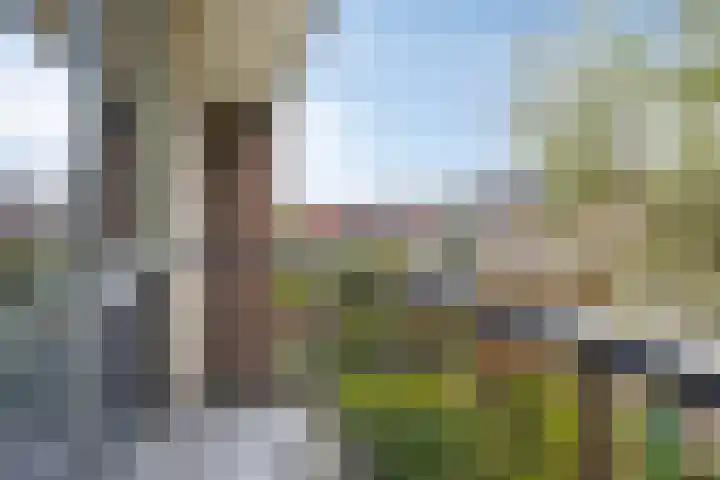 Vondellaan 18 Capelle aan den IJssel thumbnail 23