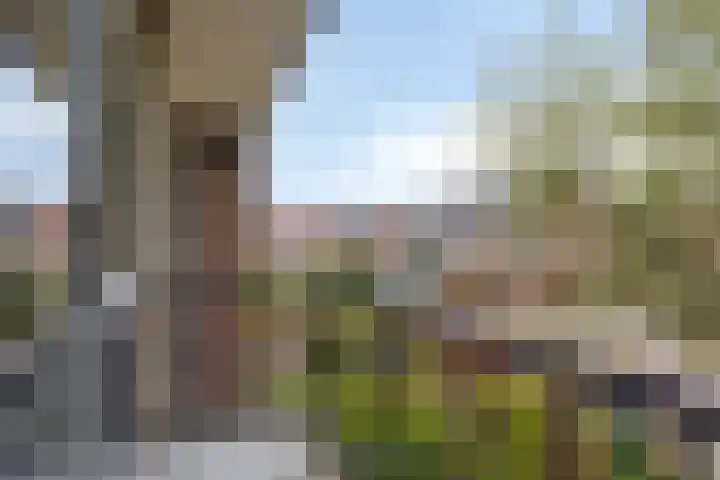 Vondellaan 18 Capelle aan den IJssel thumbnail 24
