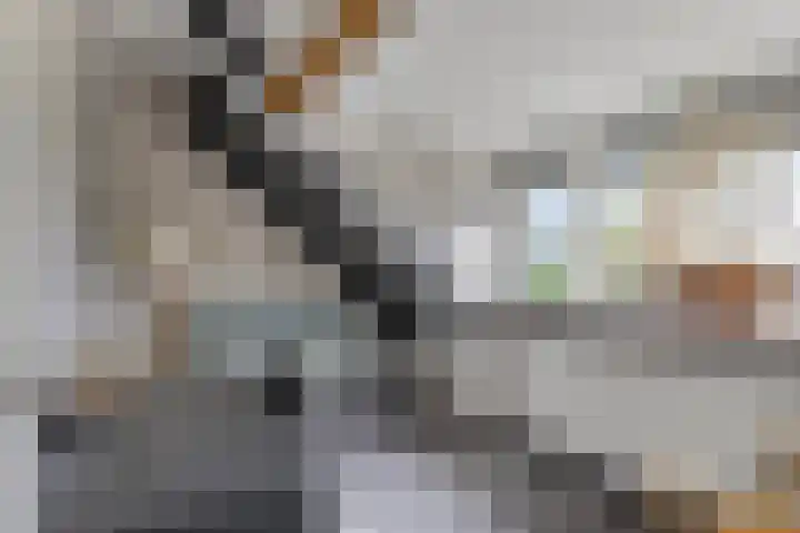 Vondellaan 18 Capelle aan den IJssel thumbnail 30