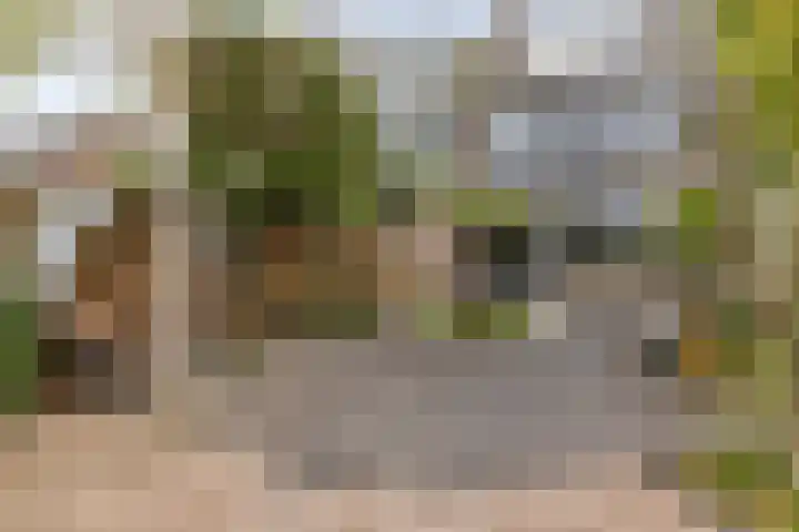 Vondellaan 18 Capelle aan den IJssel thumbnail 34